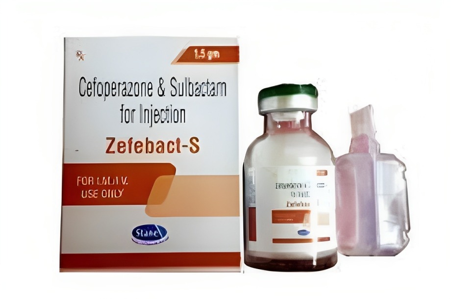 Beta lactam manufacturers india